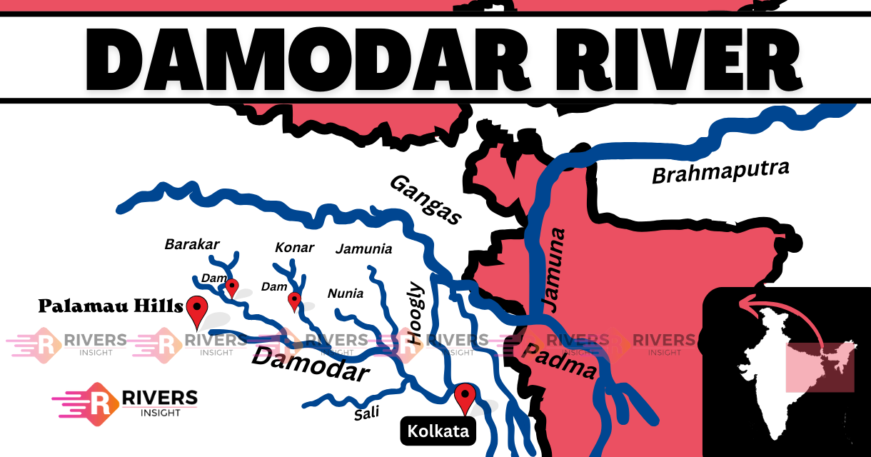 Damodar River: Origin, Map, Course, Tributaries, Dams & States